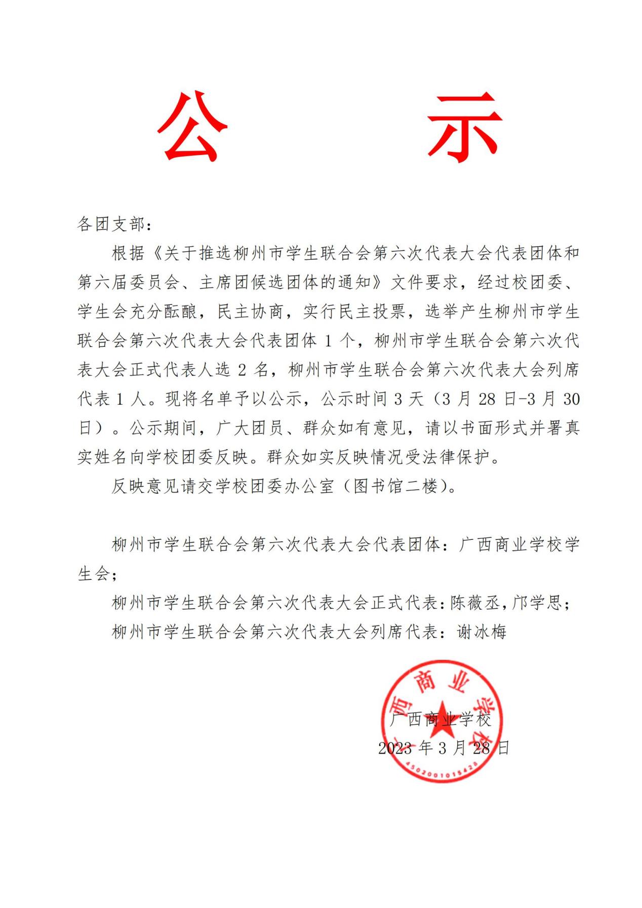 公示-第六次代表大会代表