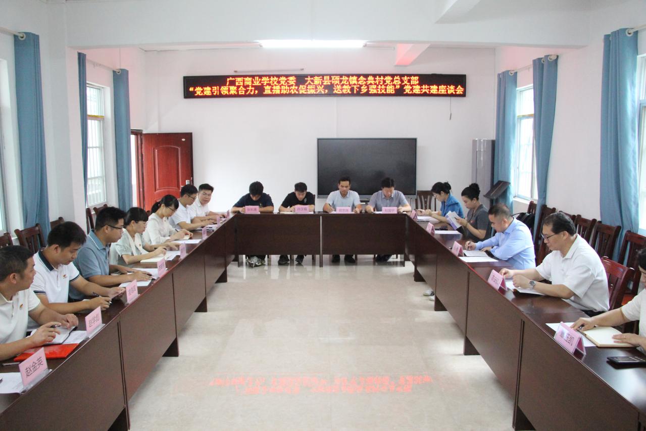 2.硕龙镇念典村座谈会现场