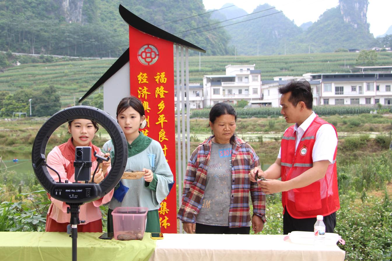 5.广西商校学生在平良村澳洲蓝龙虾养殖基地开展直播助农展示