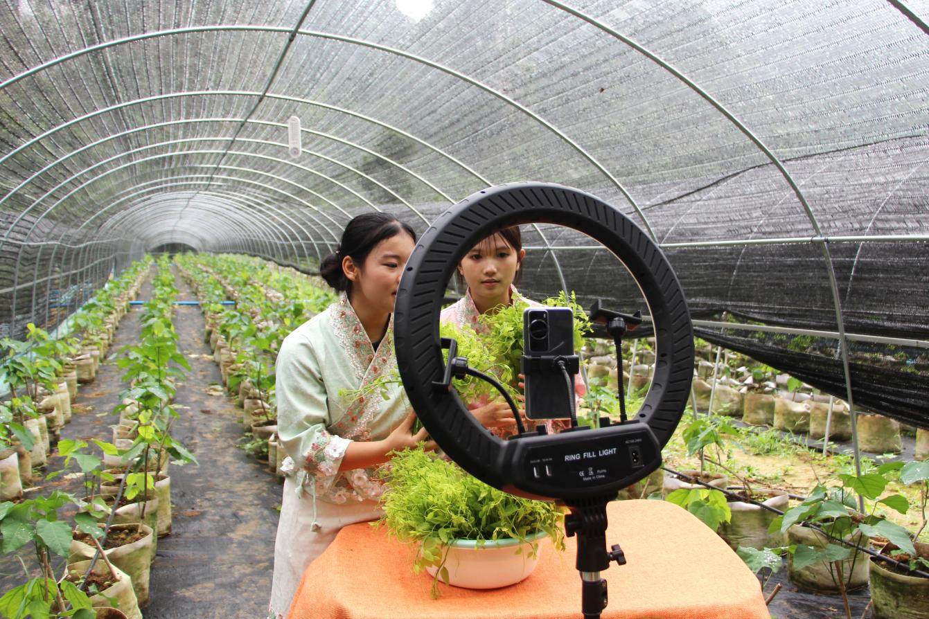 6.广西商校学生在念典村龙须菜种植基地开展直播助农展示